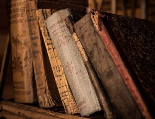 7 Silent Reasons Why Defunding Libraries Is a Disastrous Mistake for Community Wellbeing
