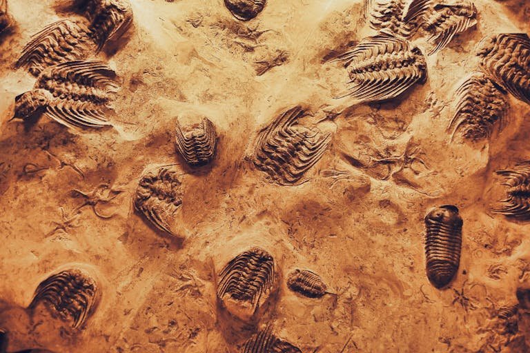 Earth's Ancient Mysteries - IntellectJinni