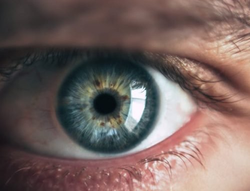 The Eye and the Mind: Art as the Practice of Perception