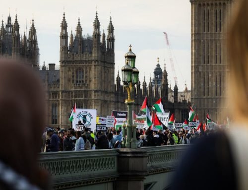Political Order: Institutions, Crisis, and the Fragility of Governance