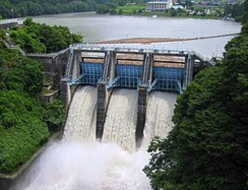 The Alarming Environmental Costs of Large Dams: A Critical Look at Their Hidden Impact
